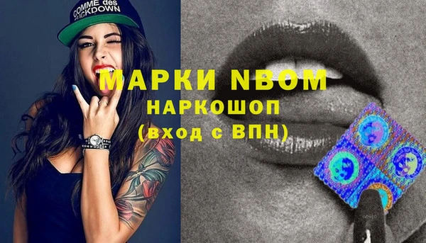 apvp Алексин