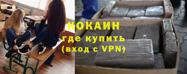 ПСИЛОЦИБИНОВЫЕ ГРИБЫ Алзамай