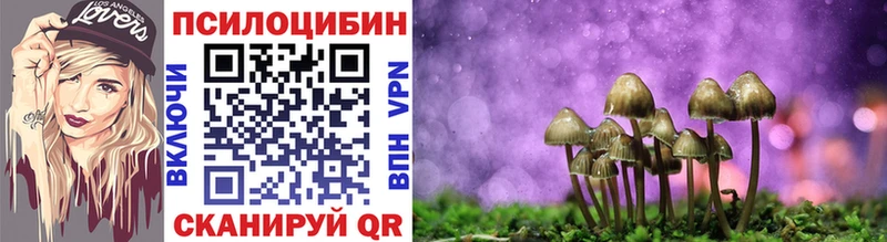 Галлюциногенные грибы Cubensis Купить Грозный